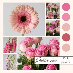 Pink Bulk Flowers