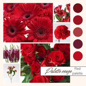Red Bulk Flowers