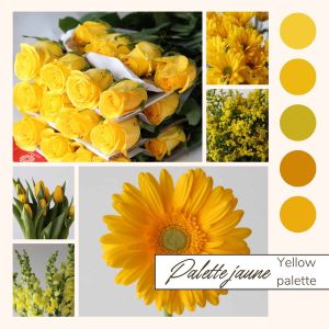 Yellow Bulk Flowers
