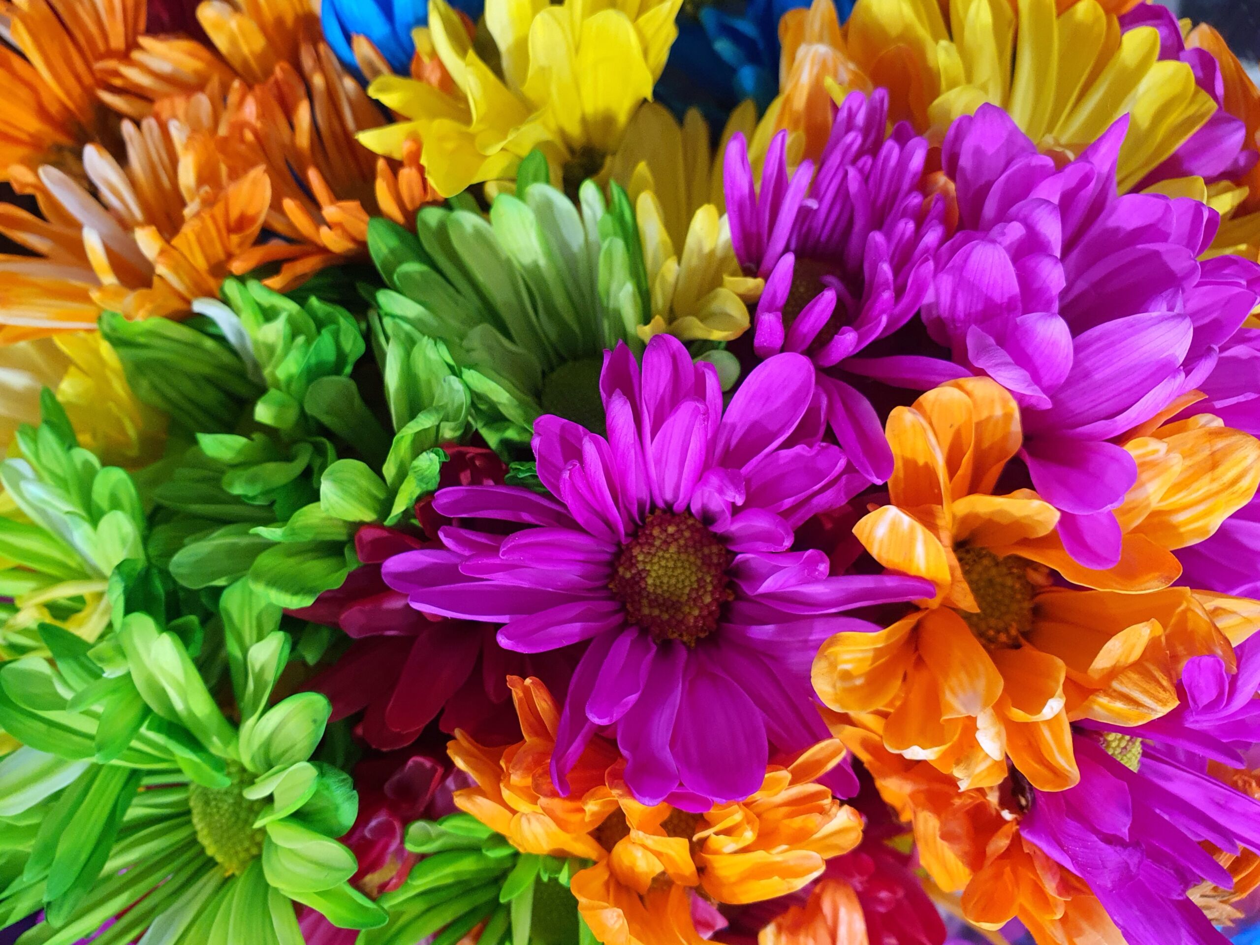 Smart Tips for Saving Big on Bulk Flower Purchases in Montreal