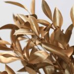 Bronze Tinted Israeli Ruscus