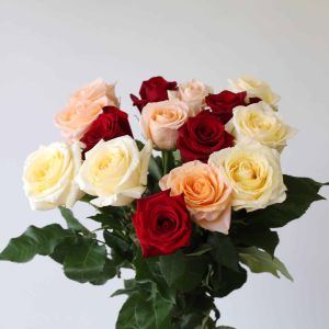 Bulk Roses - 40 cm