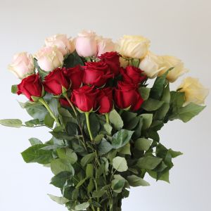 Bulk Roses - 50 cm
