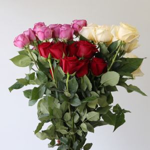 Bulk Roses - 70 cm