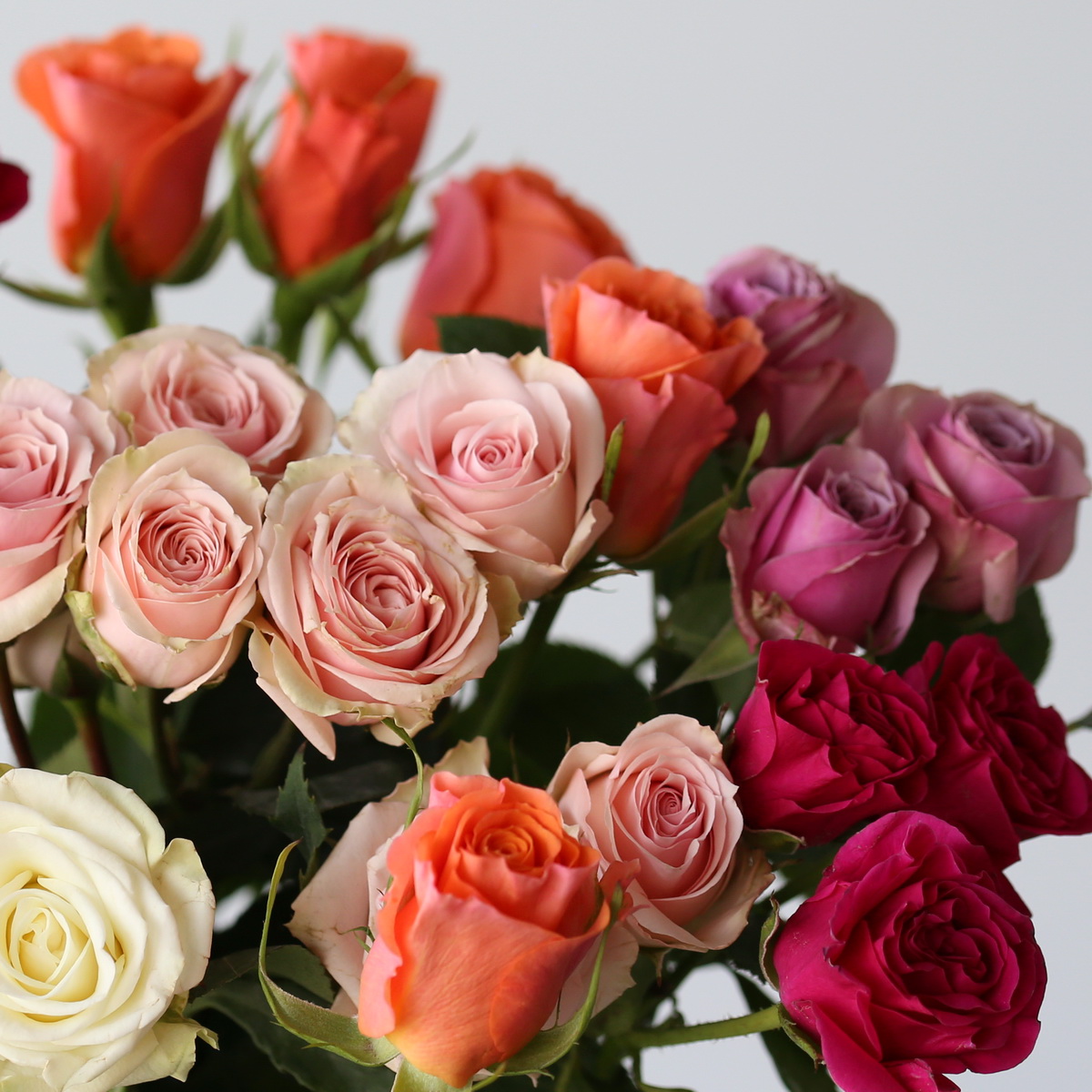 Créez Votre Propre Chef-d’œuvre Floral : Guide DIY pour Montréal