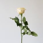 Candlelight Roses – 60 cm