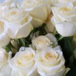 Candlelight Roses – 60 cm