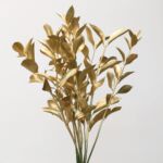 Gold Tinted Israeli Ruscus