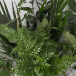 Bouquet de feuillages standards assortis