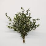 Olive Branches