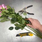 Rose Preparation Service