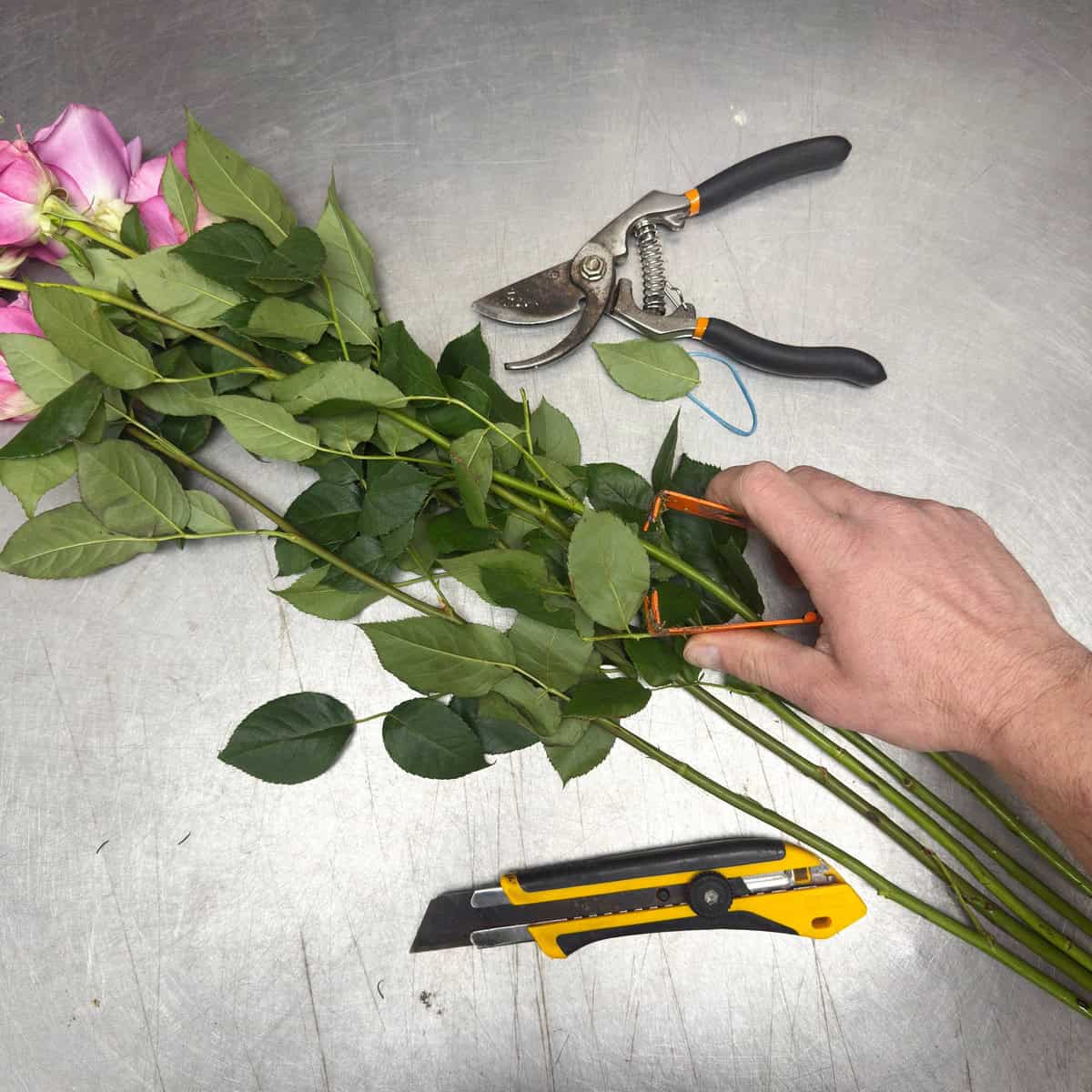 Florist cleaning and preparing rose stems by removing leaves and thorns