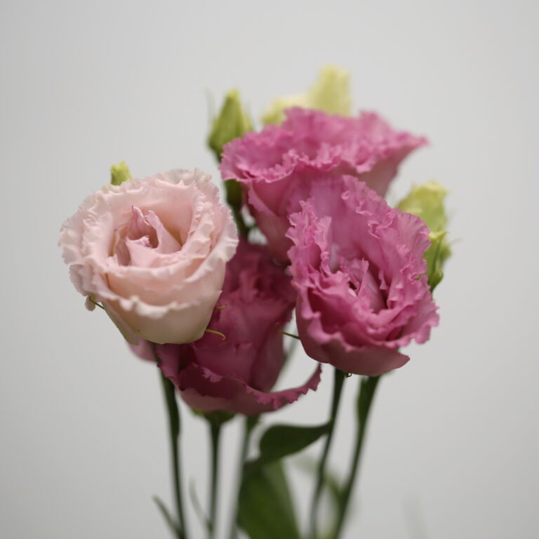 featured-image-1777813294